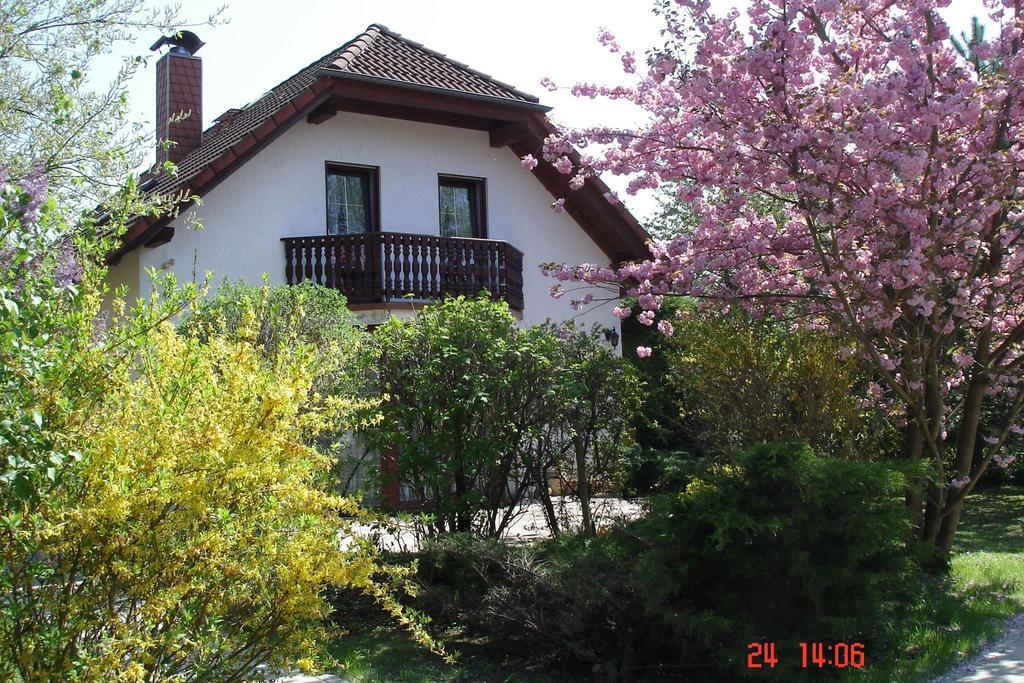 Ferienhaus "Werrablick-Frankenroda" 外观 照片